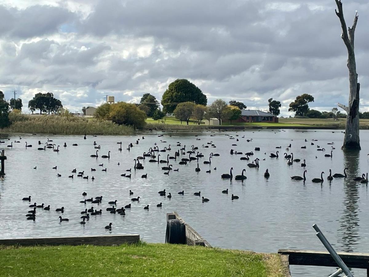 Tasman Holiday Parks - Lake Mulwala Dış mekan fotoğraf